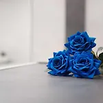Nido Cicogna Apartman *