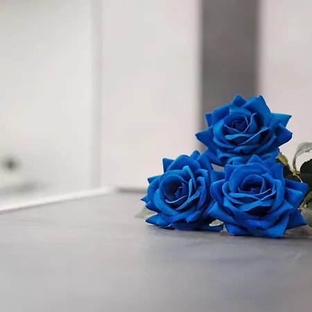 Nido Cicogna Apartman Besano